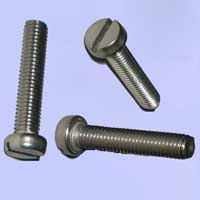 Stainless Steel Slotted Bolt