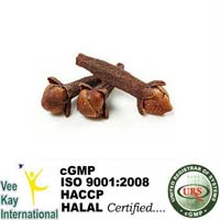 Clove Bud Oil