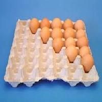 Egg Tray