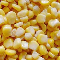 IQF Frozen Sweet Corn