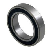 Stainless Steel Bearing