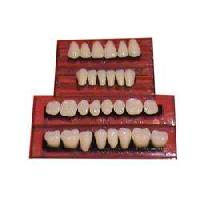 Acrylic Teeth Set