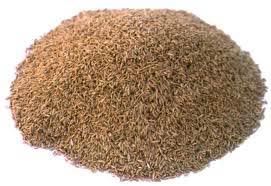 Cumin Seeds