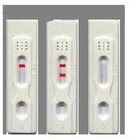 rapid diagnostics test kits