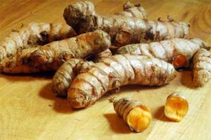 Fresh Turmeric Roots