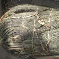 Raw Material of Grass Broom