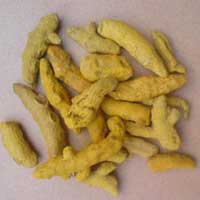 Turmeric Fingers