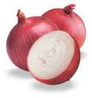 Big Onion