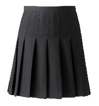 Girl School Skirts