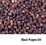 Black Pepper - 209
