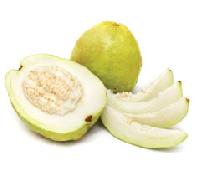 White Guava Concentrate