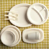 Disposable Dinnerware