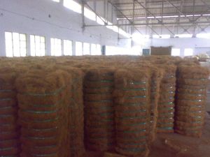 Coir Fibre