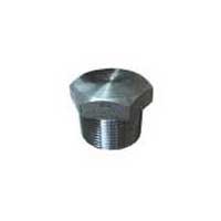 Stainless Steel Forged Plug