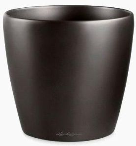 Venus Plastic Planter