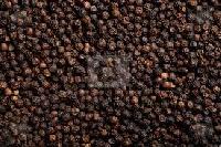 Black Pepper Seeds