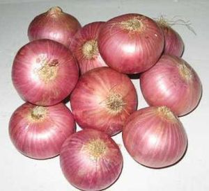 Red Onion