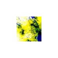 Alcian Yellow
