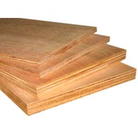 Hardwood Plywood