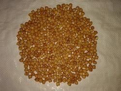 roasted gota chana