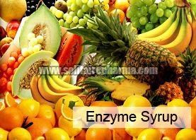 Enzyme Syrup