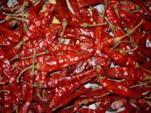 334 dry red chilli