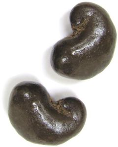 Chocolate coated cashews