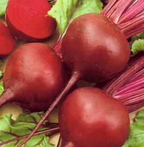 Fresh Beetroot