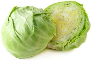 Fresh Cabbage