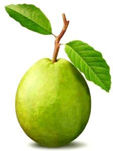 Fresh Guava