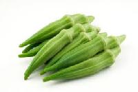 Fresh Okra