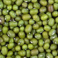 Green Moong (Green Beans)