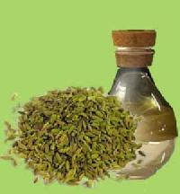 Fennel Oil