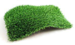 Artificial Grass