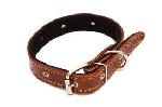 Dog Collars 02