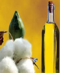 Cotton Oil