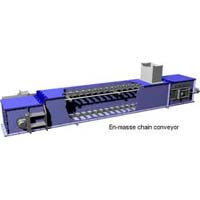 Chain Conveyor