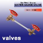 Bronze Water Gauge Valve