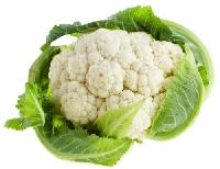 Fresh Cauliflower 01