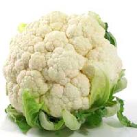 Fresh Cauliflower 02
