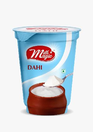 Milk Magic Dahi