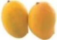 Ripen Mango