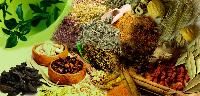 Ayurvedic Herbal Medicines