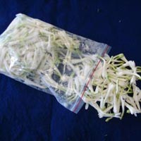 Fresh White Lily