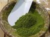 Moringa Oleifera Powder