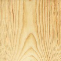 loblolly pine wood