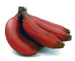 Red Banana