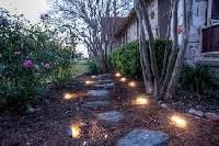 landscape lighting