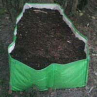 Vermicompost Bed 03