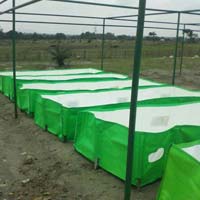 Vermicompost Bed 07